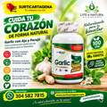 GARLIC X 100 UND – AJO + PEREJIL