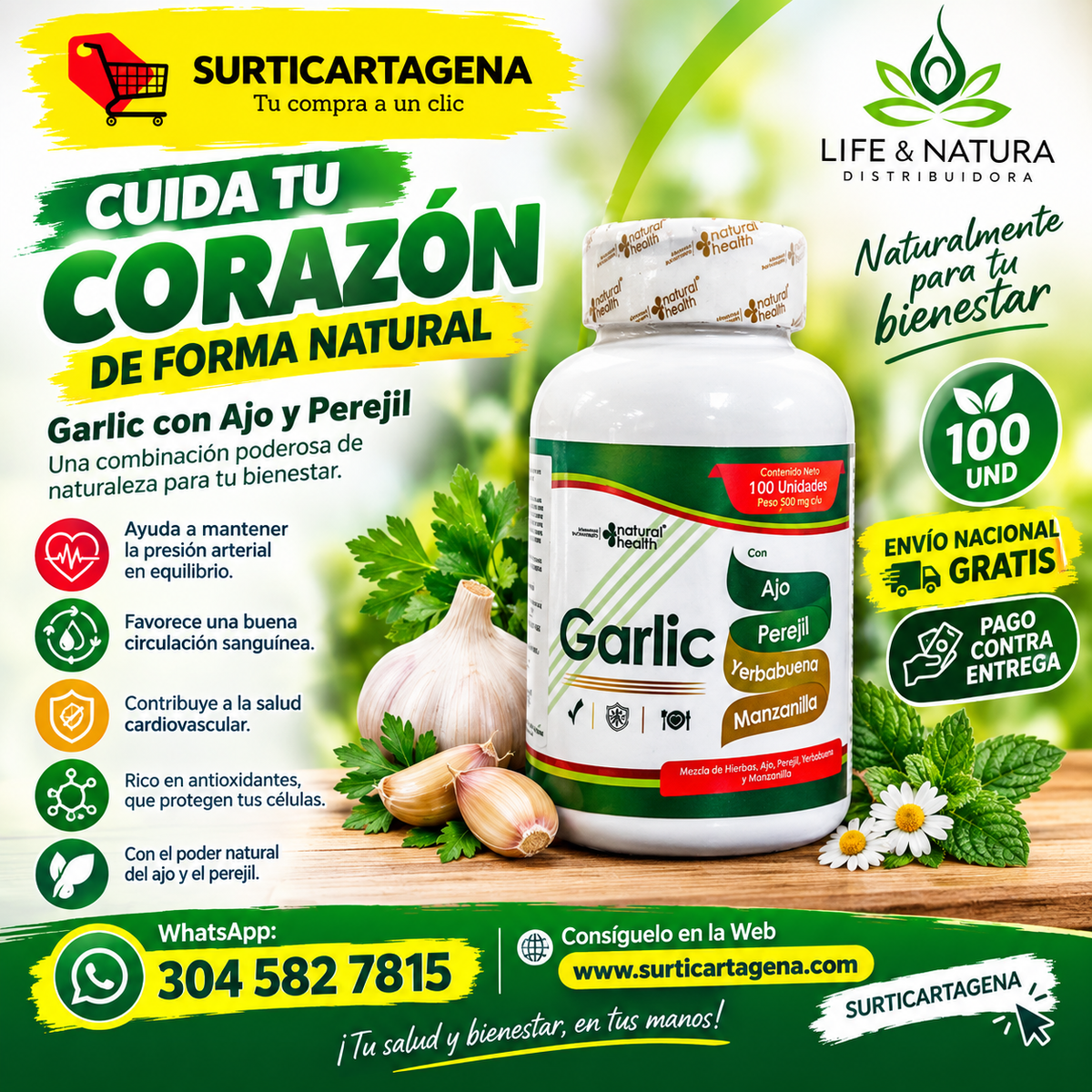 GARLIC X 100 UND – AJO + PEREJIL